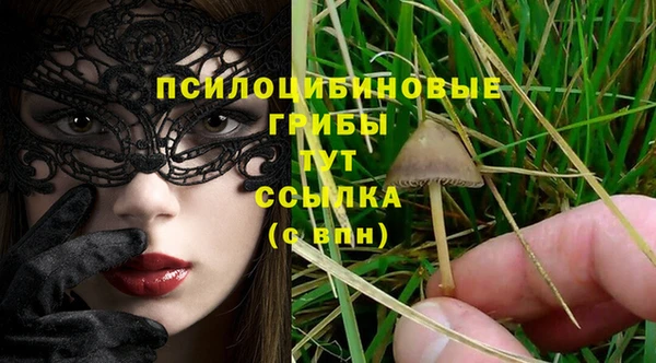 не бодяженный Алзамай